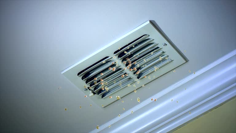 Best Best Air Duct Cleaning Company  in Byram Center, NJ